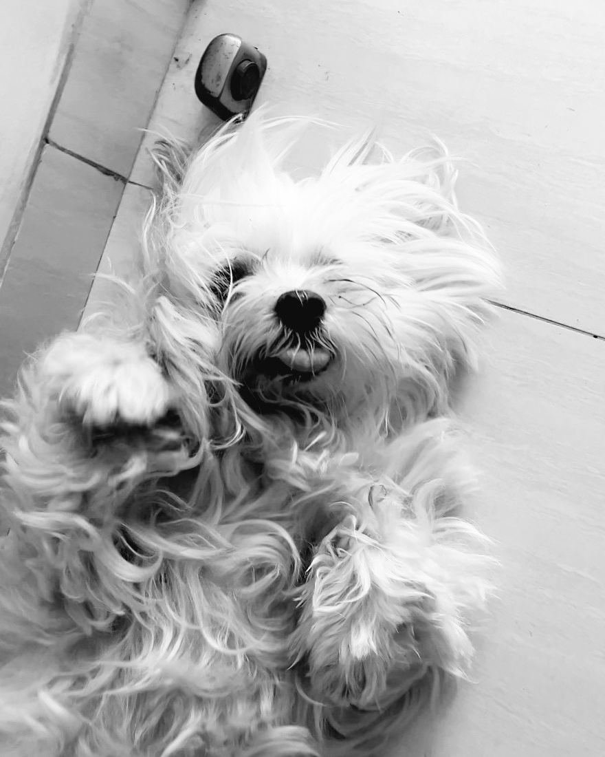 Lucas, responsable del hueso